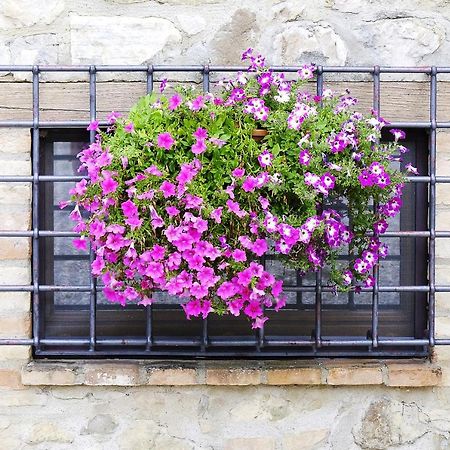 Casale Le Orme Bed and Breakfast Τόντι Εξωτερικό φωτογραφία