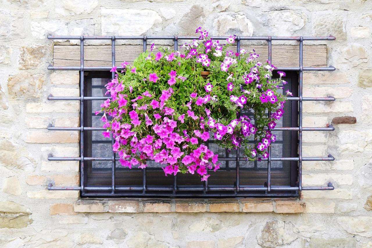 Casale Le Orme Bed and Breakfast Τόντι Εξωτερικό φωτογραφία