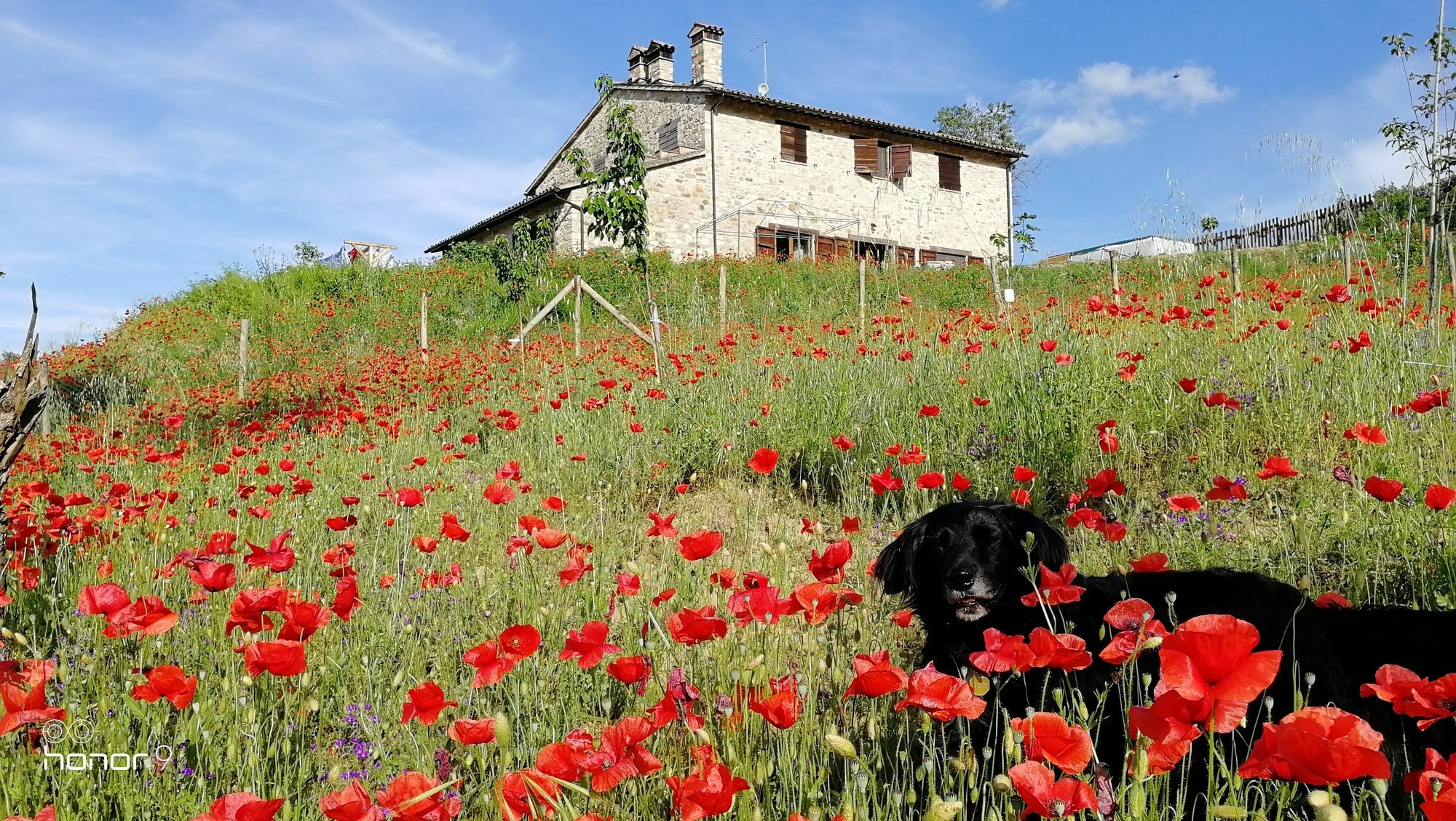 Casale Le Orme Bed and Breakfast Τόντι Εξωτερικό φωτογραφία